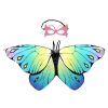 Halloween Children's Cartoon Butterfly Wings Mask Little Princess Back Decoration