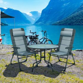 2 Pieces Patio Folding Dining Chair set with Adjustable Backrest (Color: Gray)